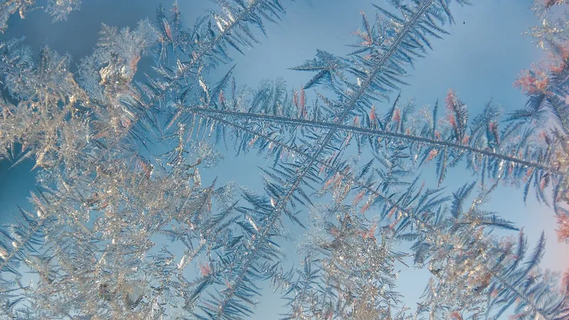 Мороз до -27, туман и снегопад: в каких областях РК объявили штормовое предупреждение