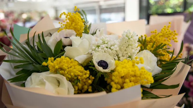 Дәулет, Димаш және Дина: Шымкентте үшем дүниеге келді