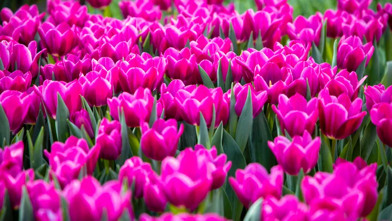 Қазақстанның оңтүстігінде күн жылынады