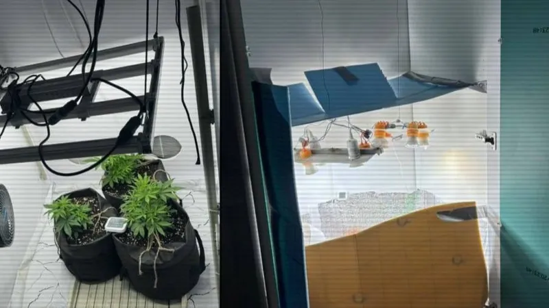 Нарколаборатории обнаружили в трех областях Казахстана