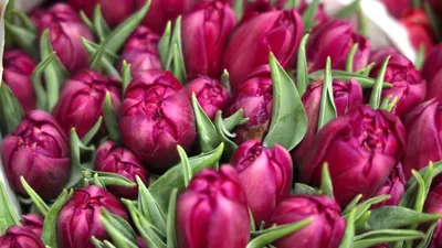 Гороскоп на 13 октября, фото - Новости Zakon.kz от 13.10.2025 08:05