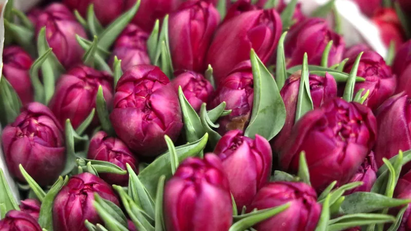 Гороскоп на 13 октября: посвятите день любимым