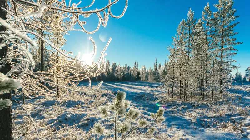 От 12°C тепла до 21°C мороза: о погоде в Шымкенте и Астане на три дня