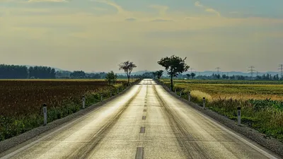 КГД предложил новые маршруты в связи с закрытием пункта пропуска "Жибек Жолы", фото - Новости Zakon.kz от 04.02.2025 19:29