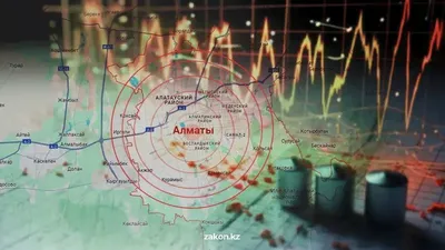 , фото - Новости Zakon.kz от 05.02.2025 15:16