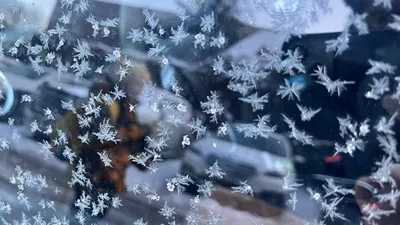 Астана замерзает, Алматы и Шымкент радуют теплом: прогноз на 6-8 февраля, фото - Новости Zakon.kz от 05.02.2025 15:05