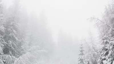 штормовое предупреждение зимой, фото - Новости Zakon.kz от 05.02.2025 20:02