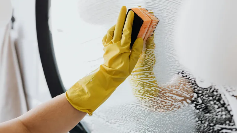 Как "выселить" плесень из квартиры: эффективные методы