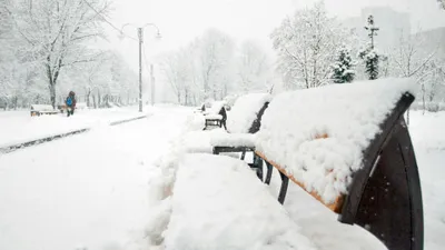 Мокрый снег, дождь, метель и похолодание до -23°С накроют Казахстан в выходные, фото - Новости Zakon.kz от 07.02.2025 13:31