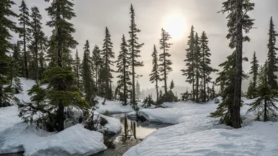 Погода на три дня: в Астане заморозки до 21°С, в Алматы – потепление, фото - Новости Zakon.kz от 07.02.2025 15:03