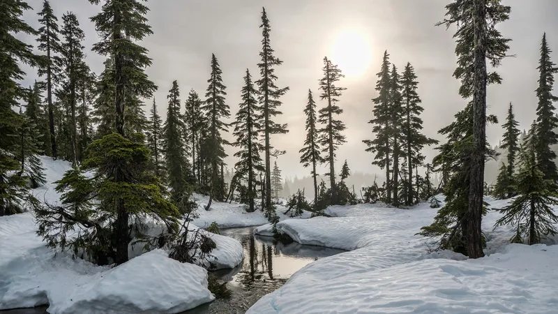 Погода на три дня: в Астане заморозки до 21°С, в Алматы – потепление