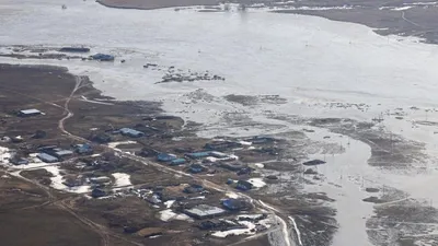 , фото - Новости Zakon.kz от 11.02.2025 17:24