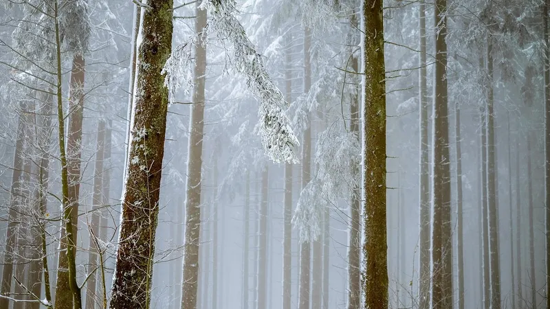 Штормовое предупреждение объявили в ряде областей Казахстана на воскресенье