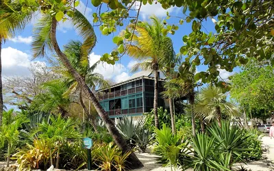 Мощное землетрясение произошло на Каймановых островах, фото - Новости Zakon.kz от 09.02.2025 08:59