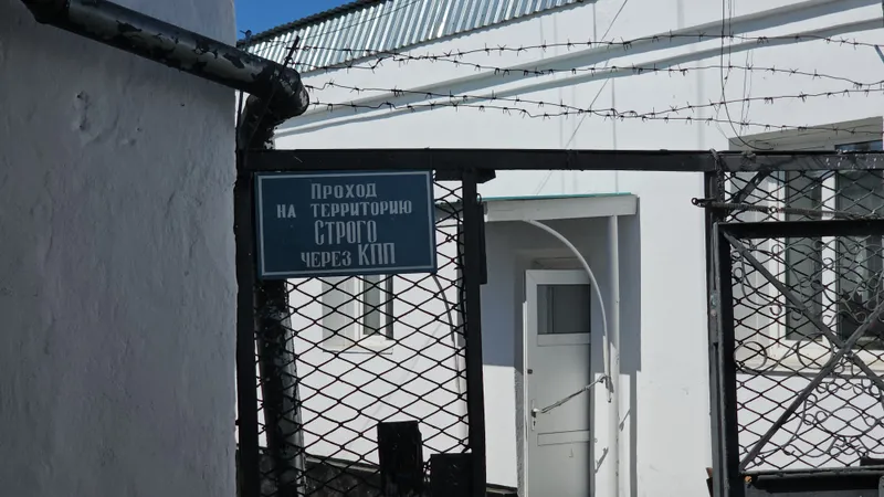 Таразская пленница: жениху и его дружкам грозит крупный штраф и тюремный срок