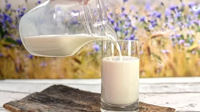 Диетолог объяснила, насколько опасны молочные продукты, фото - Новости Zakon.kz от 10.02.2025 01:13