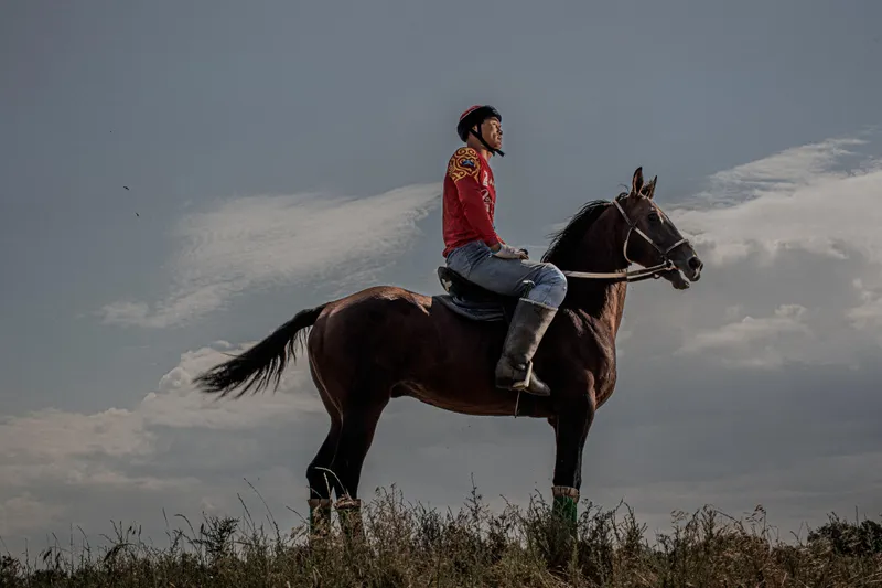 всадник и лошадь, фото - Новости Zakon.kz от 10.02.2025 13:44