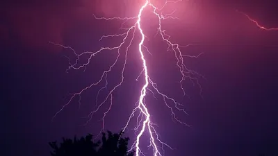 Пятерых людей убило ударом молнии в Колумбии, фото - Новости Zakon.kz от 10.02.2025 22:13