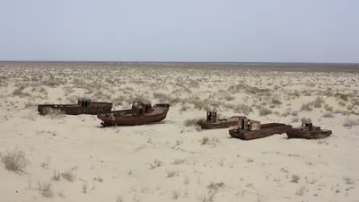 Возрождение Аральского моря: как Казахстан восстанавливает экосистему северного Арала, фото - Новости Zakon.kz от 10.02.2025 09:23