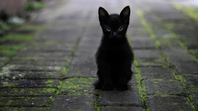 Самолет, фото - Новости Zakon.kz от 12.02.2025 02:40