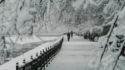 Алматы, Алматы зимой, Алматы зима, виды города Алматы, зима в Алматы, зимой в Алматы, зимний Алматы, заморозки в Алматы, мороз в Алматы, снег в Алматы, похолодание в Алматы, снегопад, снегопад в Алматы, фото - Новости Zakon.kz от 18.02.2025 17:43