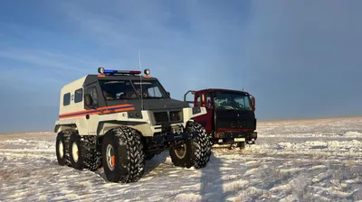 грузовики застряли в снежном заносе на трассе в Акмолинской области, фото - Новости Zakon.kz от 12.02.2025 21:12