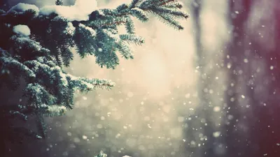 Буря в Астане, тепло до 6°С в Шымкенте и Алматы: о погоде на 13-15 февраля, фото - Новости Zakon.kz от 12.02.2025 16:07