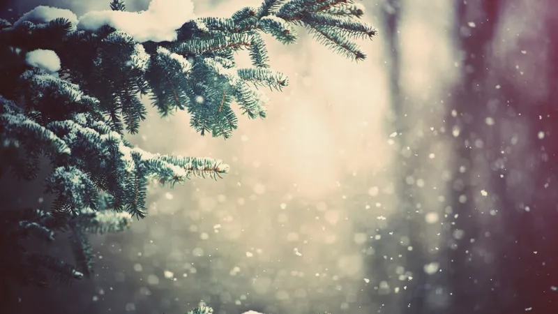 Буря в Астане, тепло до 6°С в Шымкенте и Алматы: о погоде на 13-15 февраля