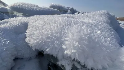 Снежный циклон ударит по югу Казахстана, фото - Новости Zakon.kz от 12.02.2025 12:48