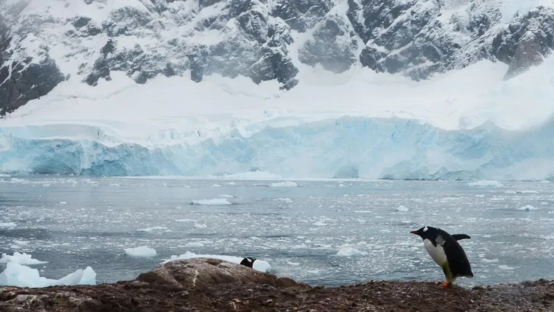 В Антарктиде обнаружили настоящую климатическую бомбу для планеты