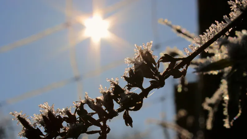 От -15°С в Астане до +10°С в Шымкенте: о погоде на выходные