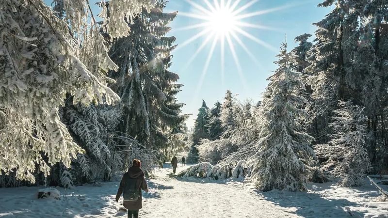 Снег с метелью, дождь и туман накроют Казахстан 15 февраля