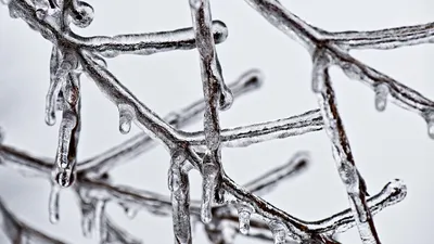 прогноз погоды, фото - Новости Zakon.kz от 16.02.2025 13:37