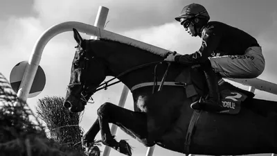 Майкл О'Cалливан, восходящая звезда конного спорта погиб, фото - Новости Zakon.kz от 17.02.2025 02:40