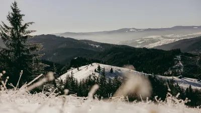 Туман и мороз до 13 градусов: погода в Астане и Алматы на три дня, фото - Новости Zakon.kz от 17.02.2025 15:40