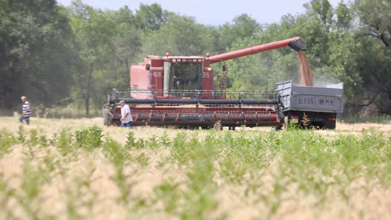 Агроөнеркәсіп секторын дамыту мемлекет саясатындағы негізгі басымдық болып қалады – Президент