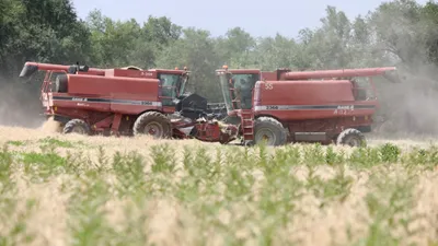 Зерно, пшеница, посев, сельское хозяйство, сельхозтехника, комбайнеры, сельскохозяйственная техника, сбор зерна, зерно, урожай, сурет - Zakon.kz жаңалық 18.02.2026 15:06