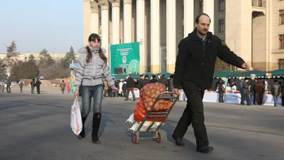 Ярмарка, базар, рынок, торговля, продукты питания, фрукты, овощи, картошка, картофель , фото - Новости Zakon.kz от 12.02.2026 16:53