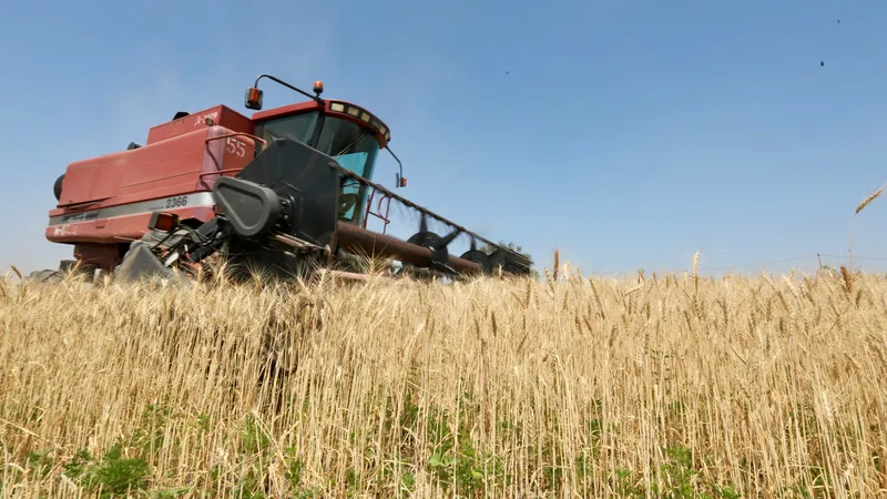 Для аграриев утвердили льготную цену на дизель на посевную-2026