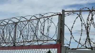 амнистия, МВД, депутат , фото - Новости Zakon.kz от 19.02.2025 12:01