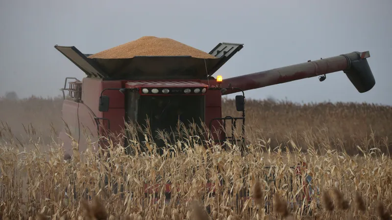 Ауыл шаруашылығы өндірушілері бірқатар арнайы техника үшін салық төлемейді