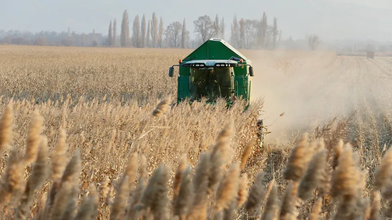 Какие продукты начнут производить в Казахстане с 2026 года