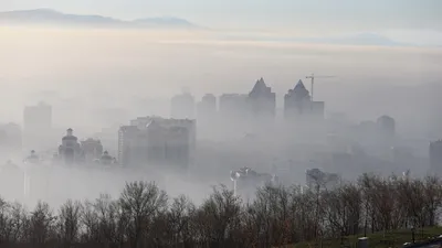 , фото - Новости Zakon.kz от 24.11.2025 12:14