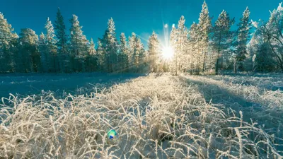 От -17°С до +17°С: синоптики рассказали о погодных сюрпризах в Астане, Алматы и Шымкенте, фото - Новости Zakon.kz от 20.02.2025 14:43