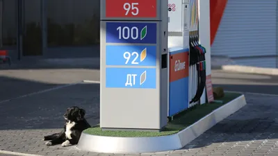 АЗС, бензоколонка, бензоколонки, заправка, заправки, бензин, автозаправка, автозаправки, цены на бензин, стоимость бензина, автозаправочная станция, автозаправочные станции, повышение цен на бензин, фото - Новости Zakon.kz от 05.03.2025 09:24