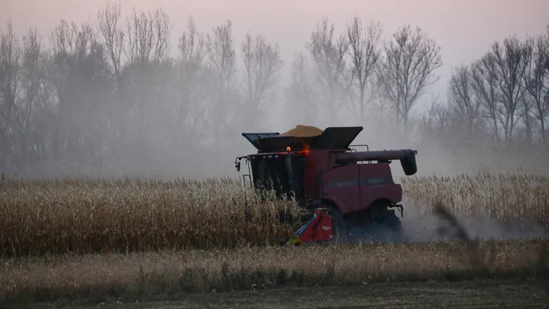 Похолодание может повлиять на уборку урожая и качество зерна – Бектенов предупредил акиматы