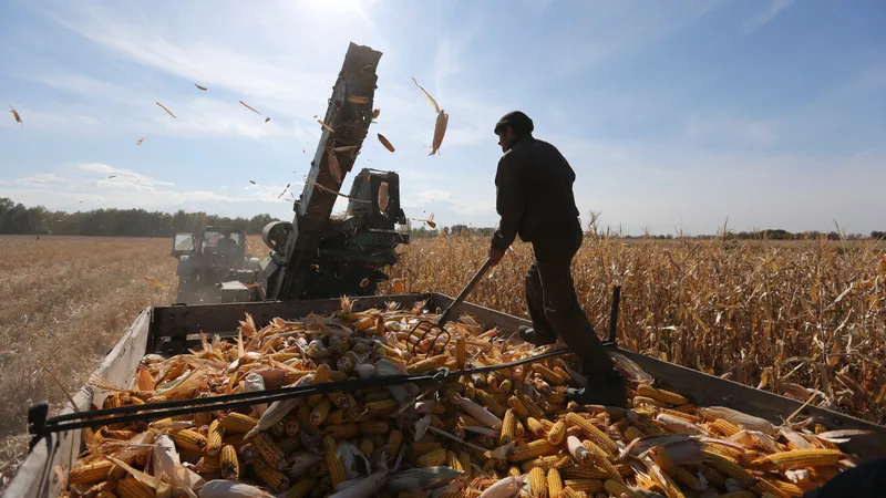 Изменились правила кредитования проектов в сфере АПК