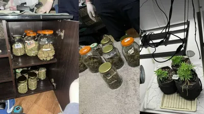 фитолаборатории ликвидировали в ВКО, фото - Новости Zakon.kz от 20.02.2025 22:06