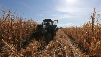 , фото - Новости Zakon.kz от 28.07.2025 11:00