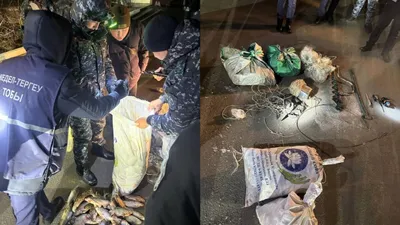 браконьеров задержали в Атырауской области, фото - Новости Zakon.kz от 20.02.2025 20:18